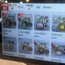 사천항주문진물회 | 강릉 사천 물회 맛집 '사천항 주문진물회' 내돈내산 후기