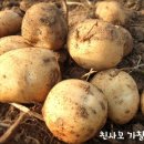 Re: 분이 가득한 강원도 두백감자 50% 맛보기 이벤트 당첨자 발표 이미지