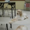 카라미용실 이미지