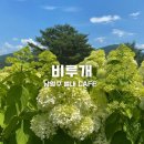 초계꽃식물원 | 남양주 카페 :: 목수국이 예쁜 식물원 카페 / 서울 근교 대형카페 @ 비루개 카페