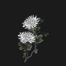 인화동-08 이미지