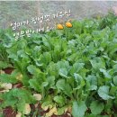 (주)맛드림푸드