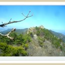 ♥울산길벗 08월19(일)곡성 동악산(735)m 정기산행 안내♥ 이미지