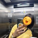 희봉선생 이미지