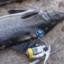 바이오 마스터 이미지