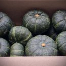 2025 미니단호박 단품판매 이미지