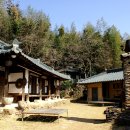 쌍산재 Daum카페