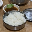 강남대로37길 56-18 | (양재역) 미나리 듬뿍 알동태탕 맛집 보글이 생태탕 왕코다리