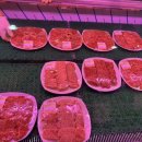 복수한우날고기 이미지