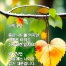 11월8일 (수요일) 아침인사~ 이미지