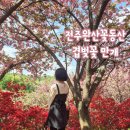 완산-4 | 전주 완산칠봉 꽃동산 실시간 가는길 지름길 겹벚꽃 만개
