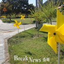 안남면행정복지센터 이미지