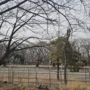 원신근린공원 (2) 이미지