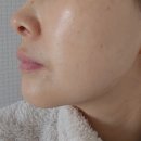 뉴셀팜