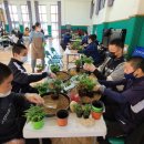 정원출장 이미지