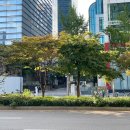 240831-240901 윤하 없는 윤하 오프 - 영원: 찰나의 영워에거