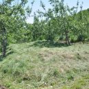 장암농장 이미지