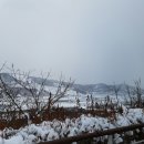 르본상사 네이버블로그