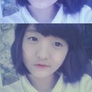 투젯 Daum카페
