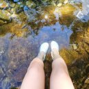 중원계곡펜션 | 양평 중원계곡 주차장, 강아지 경기도 당일치기 물놀이 여행