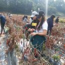 광문고등학교 이미지