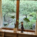 한옥규희 이미지