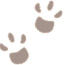 메디칼 엠코 이미지