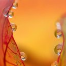 행운열쇠 이미지