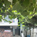 포도나무집한방백숙 | [목포] 부모님과 식사하기 좋은 목포 산정동 황칠한방오리(백숙) 포도나무집 한방백숙
