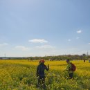 대저생태공원 이미지