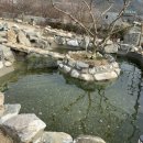 화순토박이가 추천하는, 단골되버린 뉴신상 화순맛집 황금독수리 레스토랑