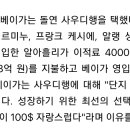 100$ 자랑스럽다! 이미지