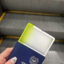 어여가세 | 대만 여행 준비 (입국 신고서/ 숙박지원금/공항1819 버스/ 환전/ 이지카드)