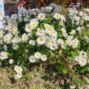 고단보건진료소 이미지