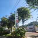 가야생오리 이미지