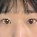 다비치안경 의정부금오점 | 다비치렌즈 '라이트 오브제 초코' 1+1 5,000원 내돈내산 후기. 착용감 좋은 가성비 렌즈 추천!