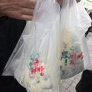 11260-3-54-14(경차) | 🥔속초관광수산시장 내돈내산 맛집 투어! 주차부터 꿀맛 시장음식까지 완벽 가이드! ✨