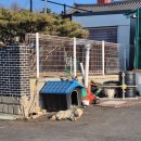 휘게 | 화성 캠핑장 [휘게캠피크] 솔직 후기