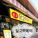 ​[대구 맛집] 퇴근길 깜짝 선물 떡볶이 맛집 달고떡볶이 포장 후기 (feat. 만두 국물 조합은 진리)