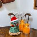 몽땅 포레스트 이미지