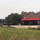 댕댕라운지 이미지