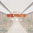 세븐일레븐 여수여서중앙점 | [결혼 준비] 웨딩홀 투어_ 아펠가모 선릉/당일 계약 후기