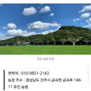 유진기획 | [유진농원 생표고버섯] 진주시장 농부 표고버섯 직배송 내돈내산