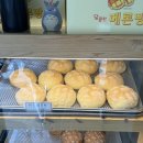 달콤한메론빵 이미지