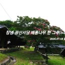 인생서당 | [창녕 여행] 붉은 배롱나무 아래 고요한, 병자호란의 충절이 남아있는 '광산서당'