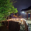 여행영어(야간) 이미지