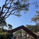 파크하우스 | 안토리조트(구, 파라스파라) 파크하우스 1박 후기