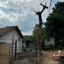 곰고개식당 이미지