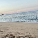 선영이네 물회 펜션 이미지