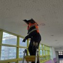 대구학정초등학교 이미지